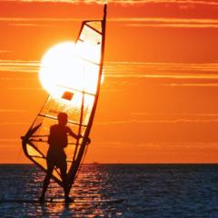 PGS -Surf, Work, Relax