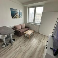 1 room Apartment with balcony, Nálepkova 4/6