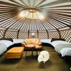 Tsukuba Mountain Ger Glamping - Vacation STAY 42093v