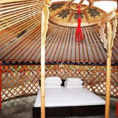 mini mongolia campsite - Vacation STAY 42127v