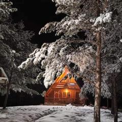 Cozy Forest Hut near Sarajevo