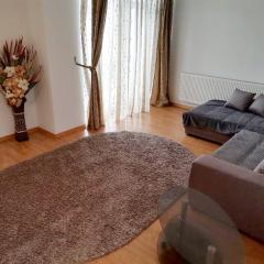 Apartament Selimbar