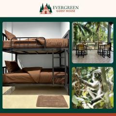 Evergreen Guest House
