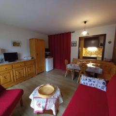 Appartement Le Grand-Bornand, 1 pièce, 4 personnes - FR-1-241-29