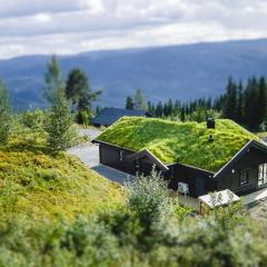 Chill cabin - fantastic view and nice hiking area