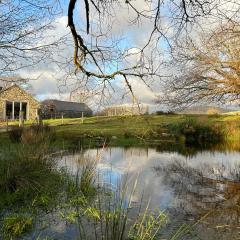 Hafod Y Llyn