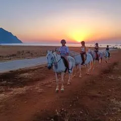 L'oasi Una Pineta Sul Mare