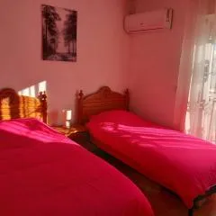 A room with a Sun view