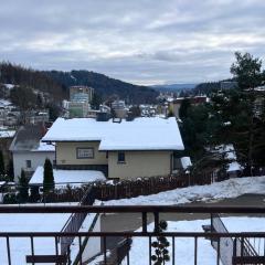 Krynica Zdrój Apartament 4 pokoje