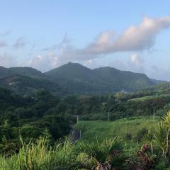 Passion Du Paradis972