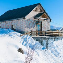 Gudauri private cottage