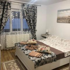 Apartament în regim hotelier familie