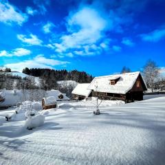 Traditional deer Cabin with Sauna