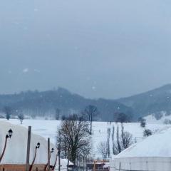 Glamping Iurte Mongole Spiritul Zimbrului