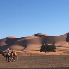 A high-class camp in the desert