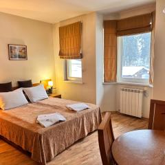 Studio Royal Plaza sleeps 4 Prime location, distance to ski lift - 50M