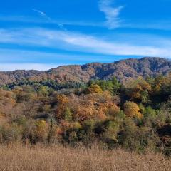 shemokmedi hills