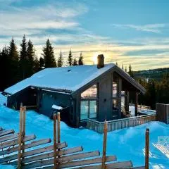 New cabin with sauna and ski in out