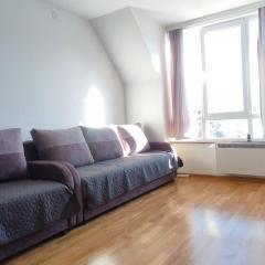 Apartman Studio Lux u Kraljevim Čardacima