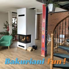 Bakuriani Fun, nice view and design, cosy and spacious