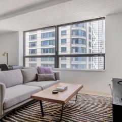 Streeterville Studio w Gym Pool nr Navy Pier CHI-445