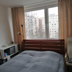 Prague, Lovely Room in shared Flat.