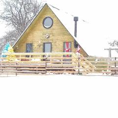 Wooden cottage "green house" in Bakuriani