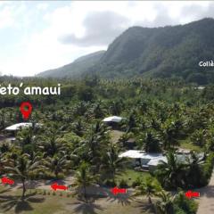 TETOAMAUI