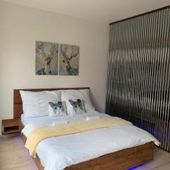 O2 Arena - Alex Apartment Praha