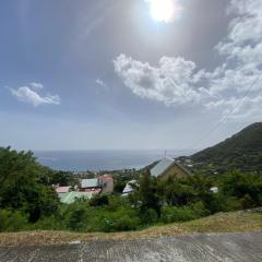 L'OCEAN BLEU DES ANSES