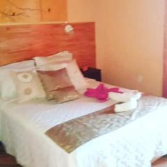 Hostel Damaris