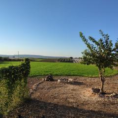 Where winery meets olive trees