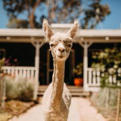 Margaret River Holiday Cottages