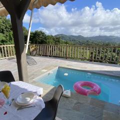 Appartement T2 B - vue campagne