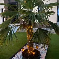 La Palmera del Sotillo