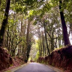 Residencial de montaña Los Quetzales