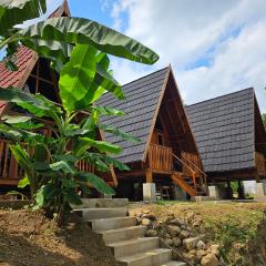 Luxury Wooden House