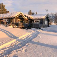 Awesome Home In Hvringen With Sauna