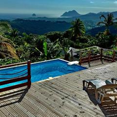 Villa CosaRoé Martinique Piscine et superbe vue mer
