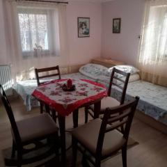 Lovely studio in Dragoman with garden and garage