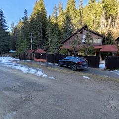 CEZARA Ski Lake View