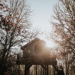 Cabane Rouge-Gorge