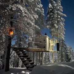 Swedish Treehouse