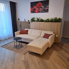 Apartament Septimiu Albini