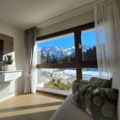 SWEET Alps Apartment CCM