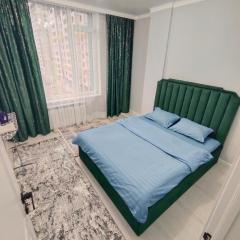 ЖК Отау сити 2 х ком квартира