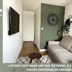 Superbe studio en hypercentre et rue piétonne - 3emeAdrienDubouché