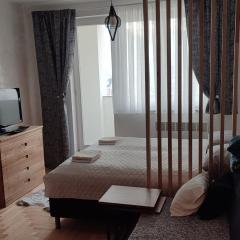 Studio apartman Pale