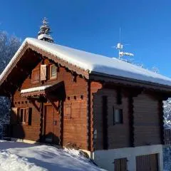 Chalet de charme aux Carroz d'Arrâches-Flaines