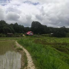 Bohang cottage